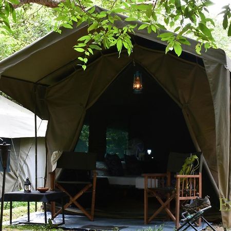 Explorer By Eco Team - Wasgamuwa National Park Екстериор снимка
