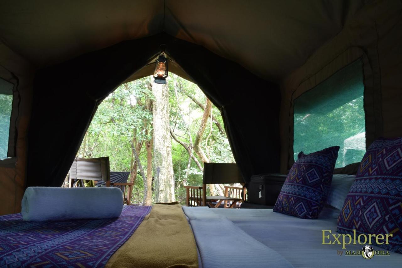 Explorer By Eco Team - Wasgamuwa National Park Екстериор снимка
