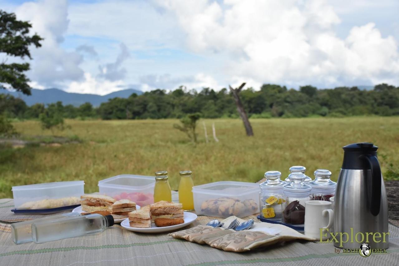 Explorer By Eco Team - Wasgamuwa National Park Екстериор снимка